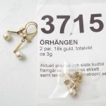 609 3715 Örhängen